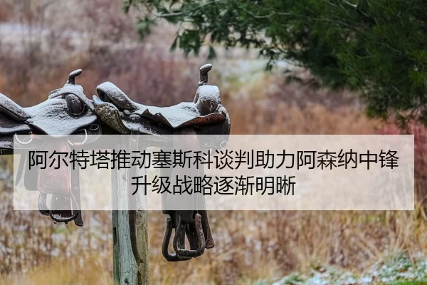 阿尔特塔推动塞斯科谈判助力阿森纳中锋升级战略逐渐明晰