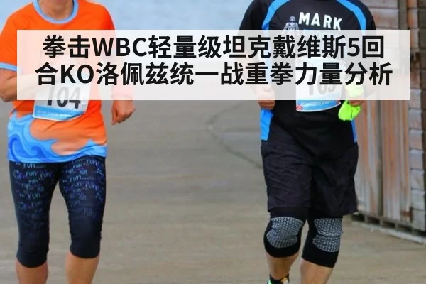 拳击WBC轻量级坦克戴维斯5回合KO洛佩兹统一战重拳力量分析