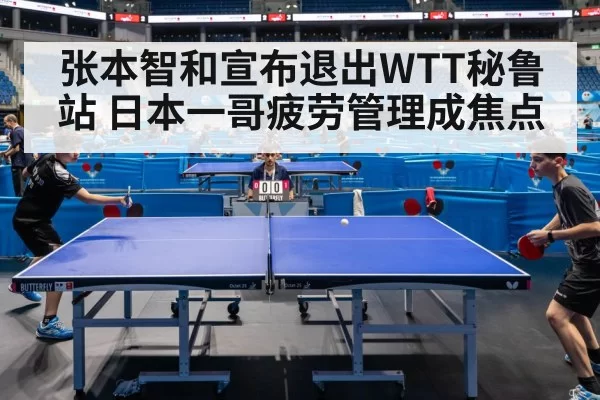 张本智和宣布退出WTT秘鲁站 日本一哥疲劳管理成焦点